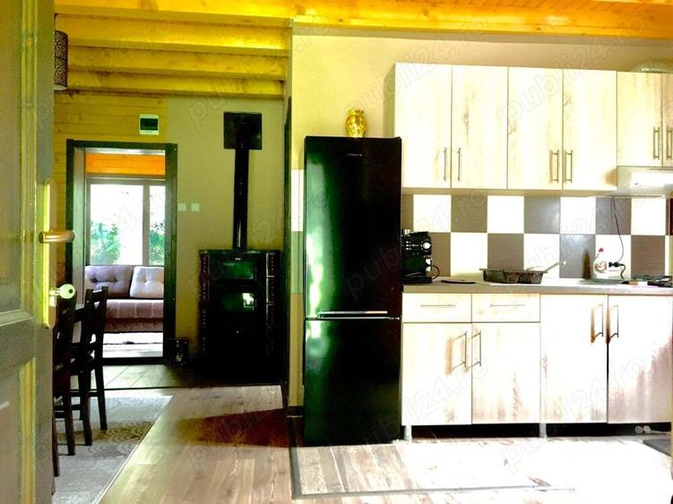 Casa din grinzi pe marginea paraului Borzont - 1