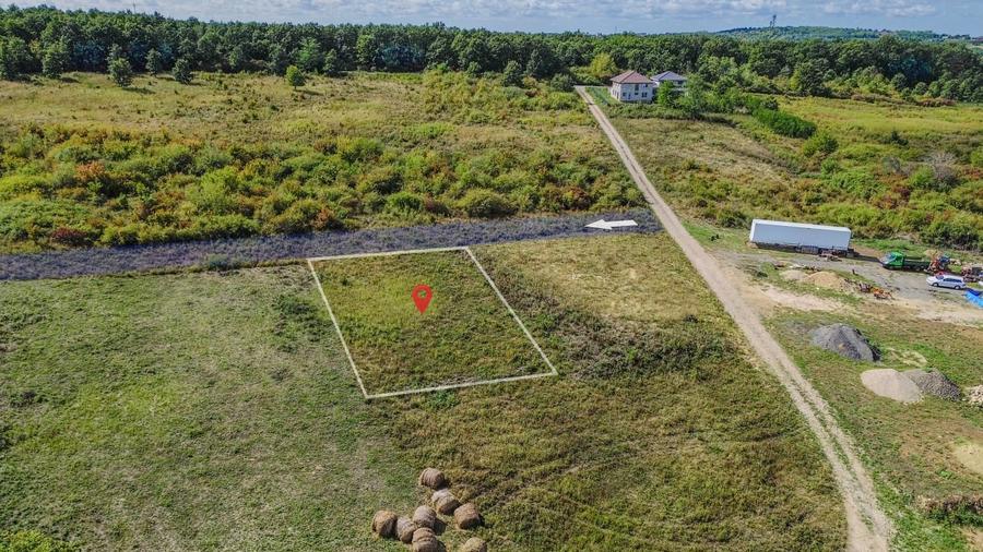 Teren intravilan de vanzare – 902 mp, Paleu, Bihor | PUZ aprobat - 3