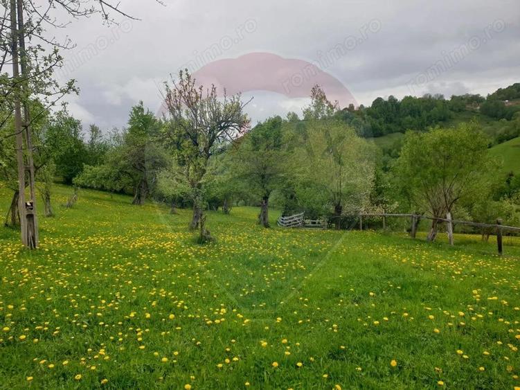 COMISION 0% | Teren 1,000mp Bran | Strada Clincea | - 3