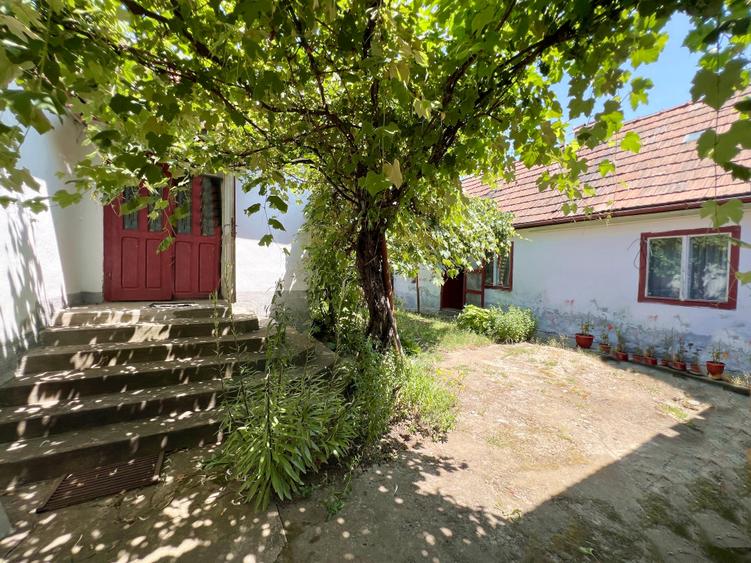 Casa de vanzare in com. Micasasa jud. Sibiu - 10