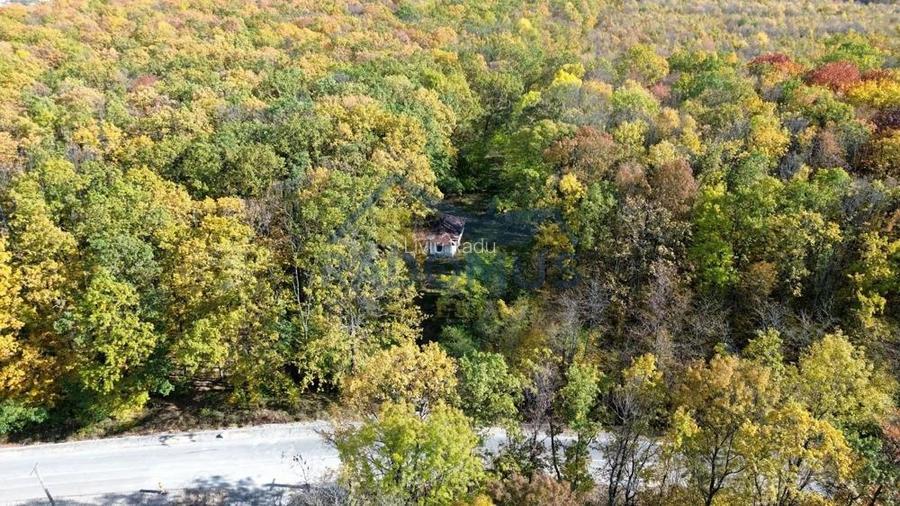 TEREN INTRAVILAN IN PADURE LA VARBILA - PRAHOVA COMISION 0%