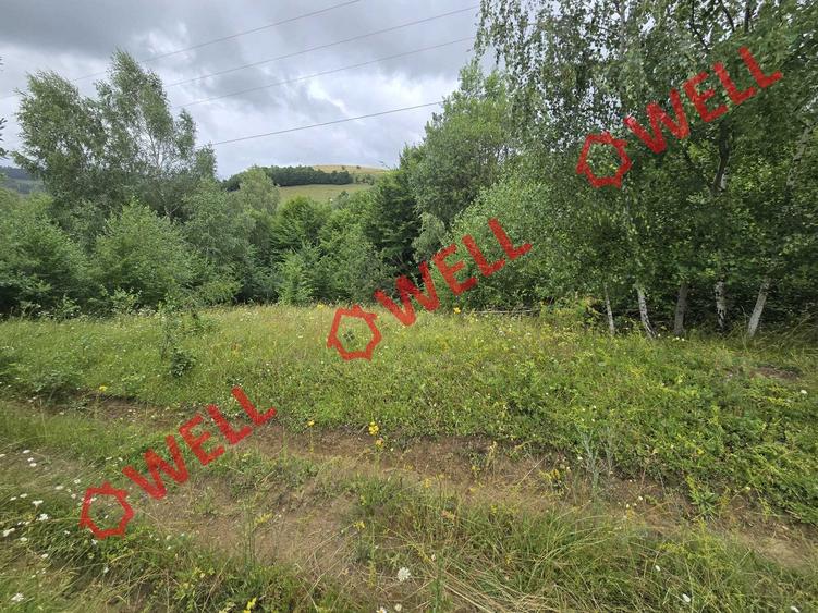 De vânzare teren extravilan loc. Sărămaș - 8