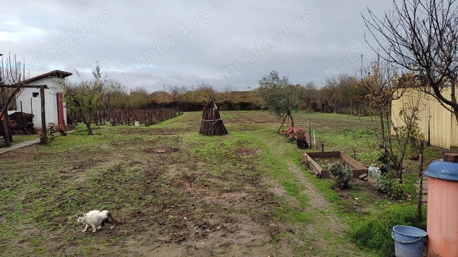 Vand casa locuibila alcatuita din 2 corpuri si cu teren de 1500 mp in sat Basarabi, jud Dolj - 7