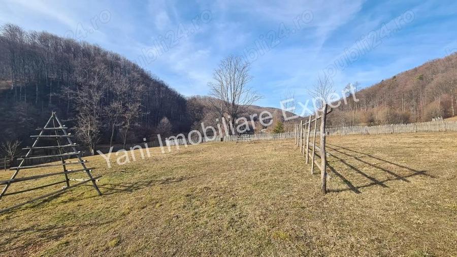 Teren de vanzare in comuna Cicane?ti, Jude? Arge?. - 6