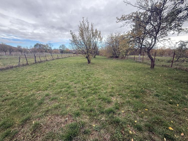 Teren intravilan împrejmuit 2331 mp la strada, toate utilitățile! - 5