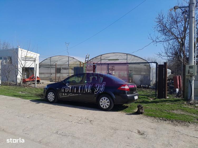 Vanzare Teren 3100 Mp - Sat Rosiori (Il) - 1