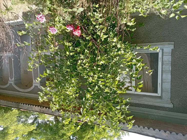 Vand casa in comuna Drago? Voda - 3