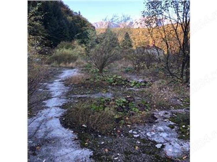 De vanzare teren intravilan AZUGA - 6