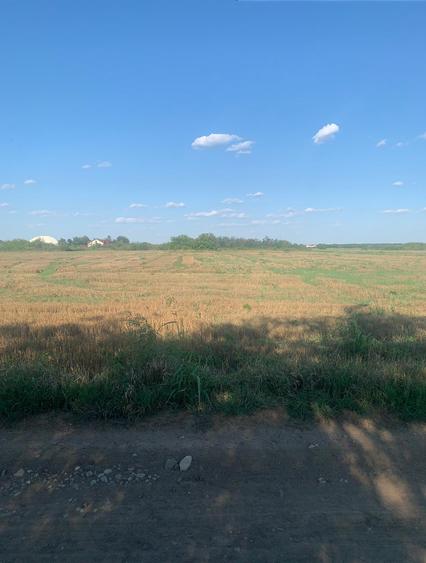 Vanzare  Teren  Balotesti Lahovari  Baza Sportiva Dinamo -Teren Potigrafu - 5