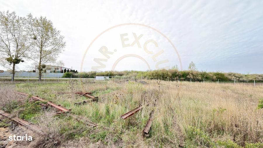 Teren Intravilan 1300 mp / Extravilan 3.700 mp/ DJ 196B Carei (DN 1F) - 3