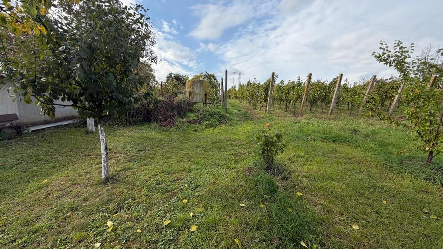 Casa de vacanta la 100m de strandul cu apa termala - 8