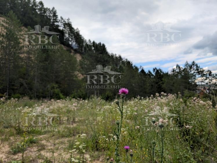 Teren intravilan pentru constructie casa in Cheile Baciului - 2