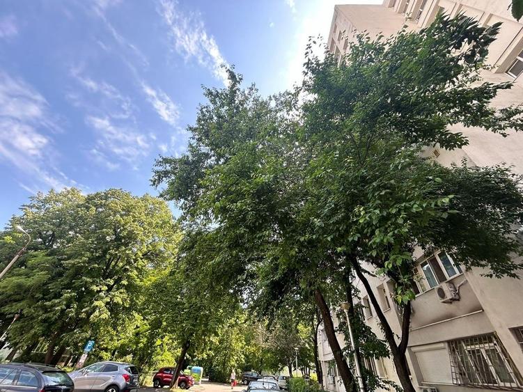 Garsoniera Titan Bloc 1978 Reabilitat 31 Mp 10 Min Metrou - 10