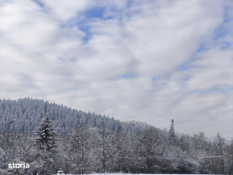 Teren intravilan, 22600mp, zona Manastirea Sucevita - 7