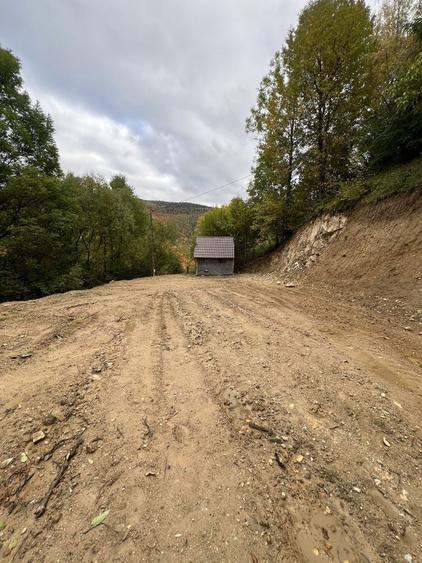 Teren de vanzare-Muntele Rece - 4