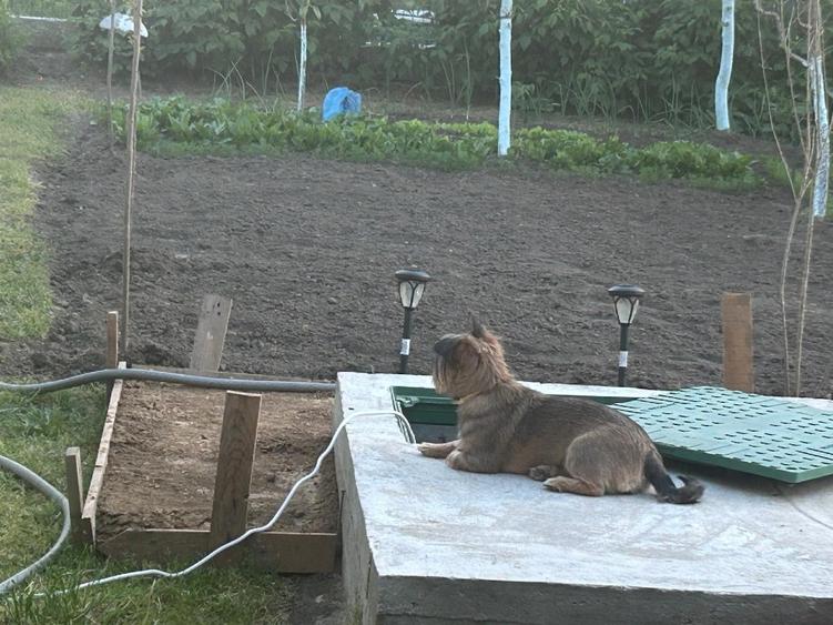 Casa pe structura metalica - 6