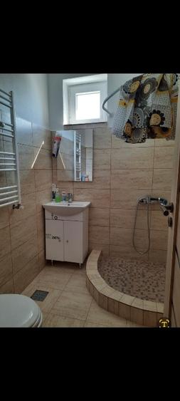 Apartament de vânzare în oraș Buziaș  - 1