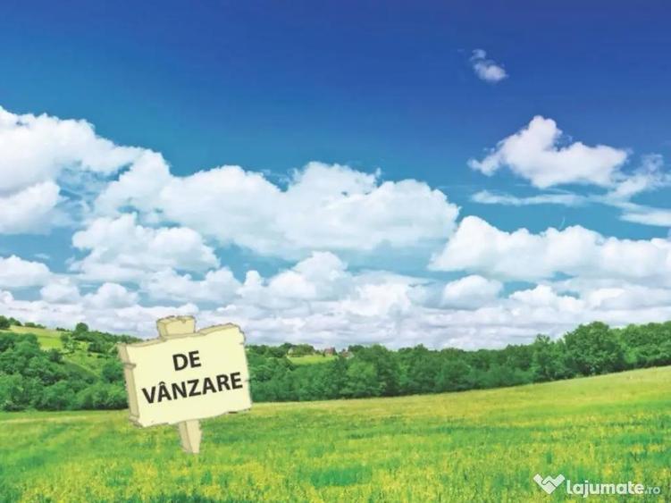 Teren intravilan, dedicat constructie casa, 2600 mp, SIRET - 1