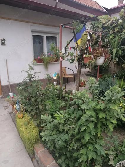 Vand apartament cu 3 camere in Timi?oara - 9