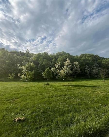 Transilvania Camping, domeniu de 14.400mp, Sanmarghita de Mures:2cladiri, aparta - 8