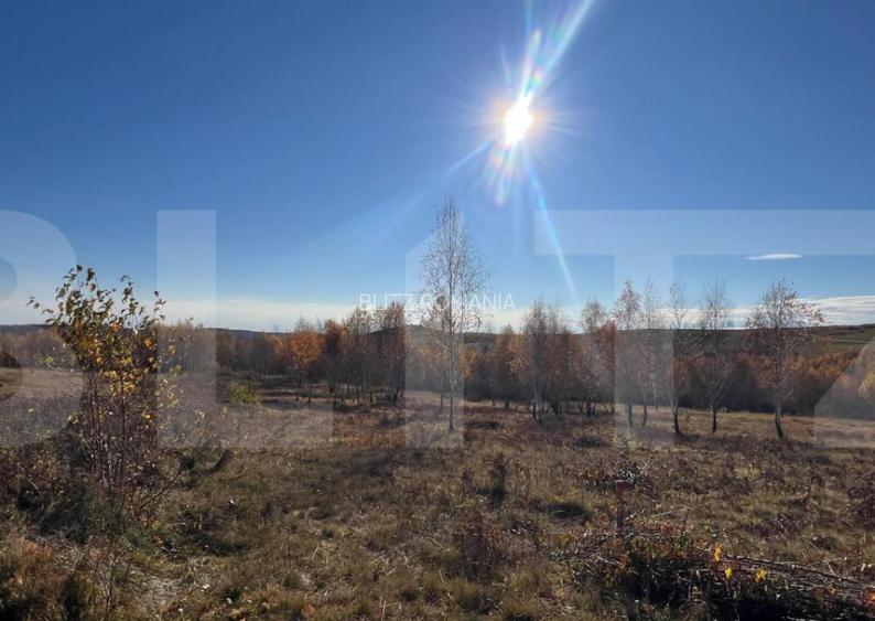 Teren construibil de vanzare, zona casele Micesti