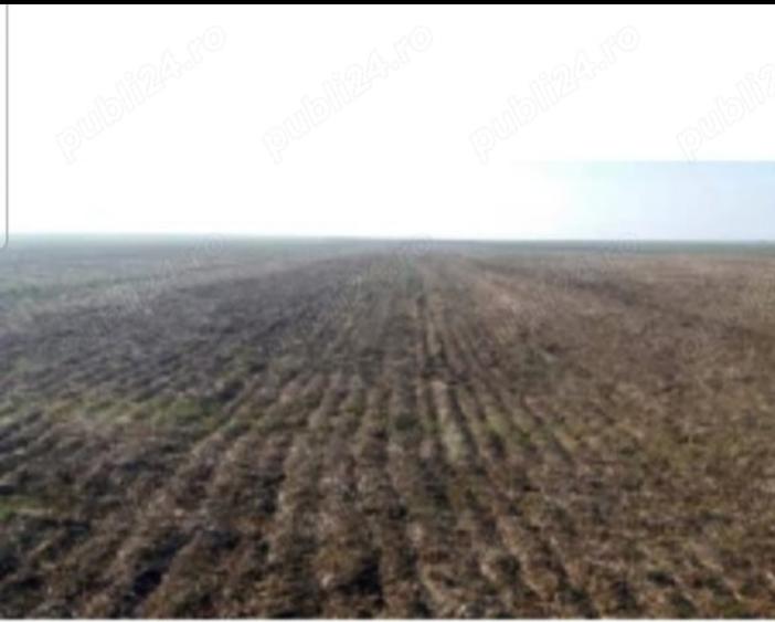 Vand Teren arabil 4 hectare in Costesti, Buzau - 1