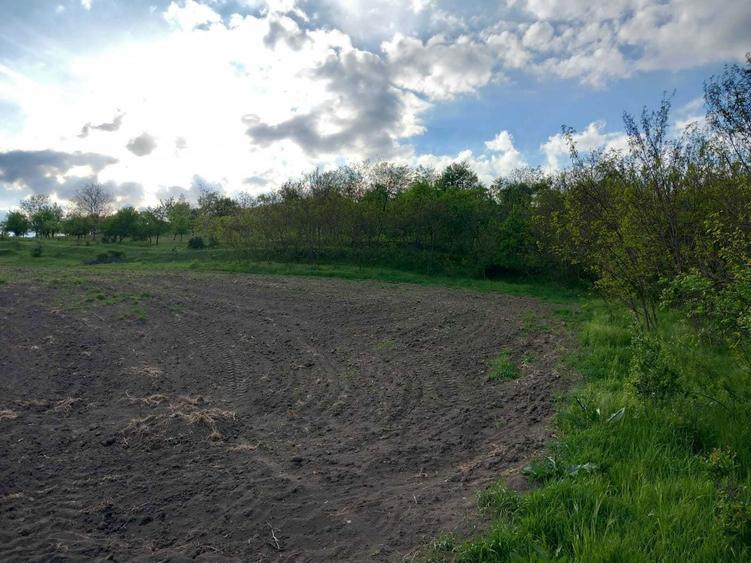 Teren intravilan, 25 ari, cu toate utilitatile, comuna Papiu Ilarian. - 1