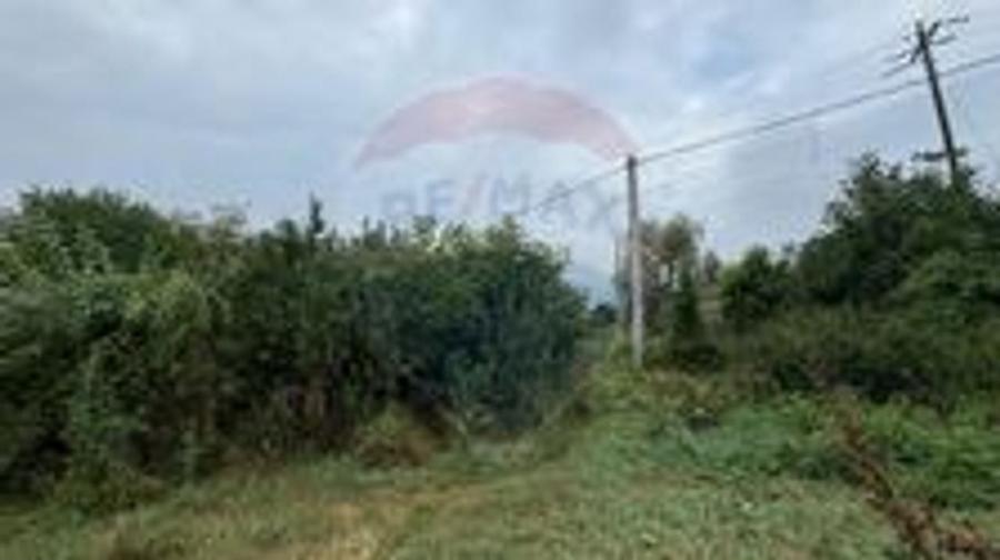 Teren 3542mp Campia Turzii COMISION 0% - 7