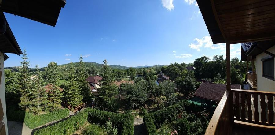 Vila superba de vanzare in Vintila Voda, Buzau D+P+1 si anexe - 39