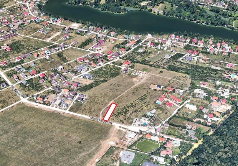 Teren de vânzare – 1000 mp în Mogoșoaia, zonă ideală pentru locuință - 2