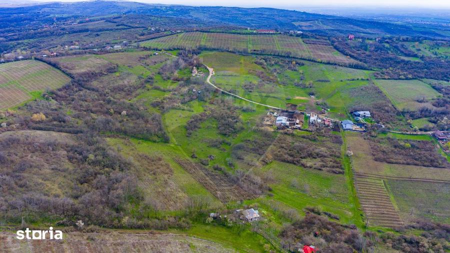 Teren 33.500 mp-Valea Orlei, Prahova/ COMISION 0% - 4