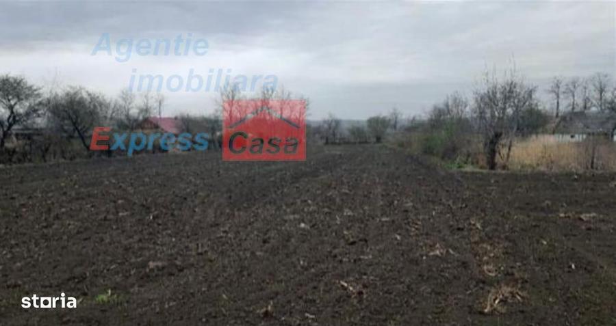 Teren de vanzare 3000 mp, Prisacani (27 km de IASI) - 4