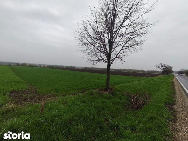 Teren 6000mp, 30 ml deschidere la DN 2H, Horodnic de Jos, Radauti - 2