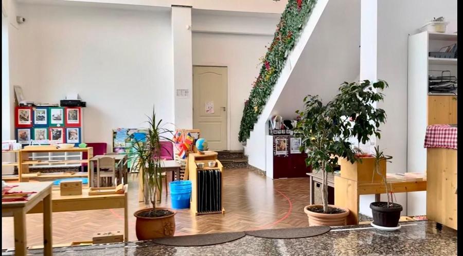 Vilă individuală 17 camere, 850 mp teren | Grădiniță / clinică | Iancu Nicolae - 8