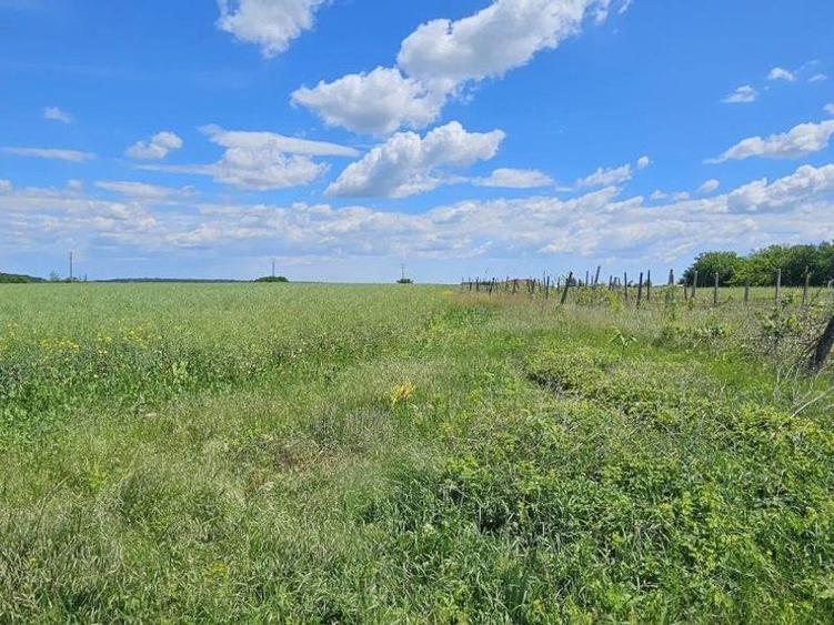 Teren extravilan Tancabesti - 1