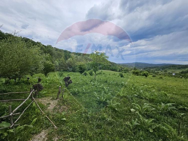 Teren 11,935mp Margineni / Strada Dubas - 2