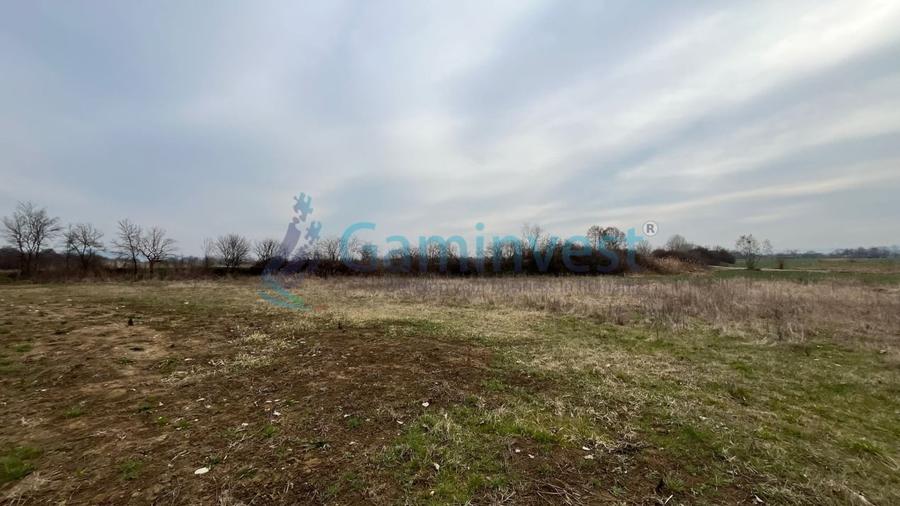 Teren intravilan 5700 mp de vanzare Osorhei, zona Podgoria - 1