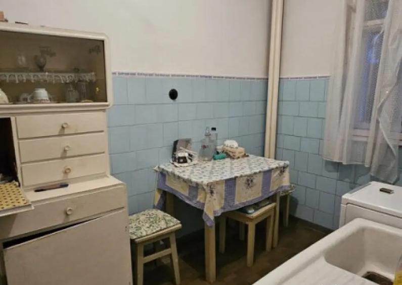 NORD-Cameliei cub, 2cam, cf1, dec, 3/4, f.imb - 48000 euro - 6