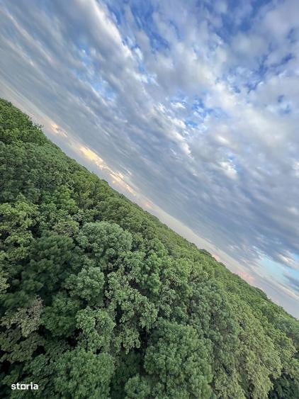 INCHIRIERE 2 CAMERE LUX GREENFIELD PANORAMIC - DIRECT PROPRIETAR - 8