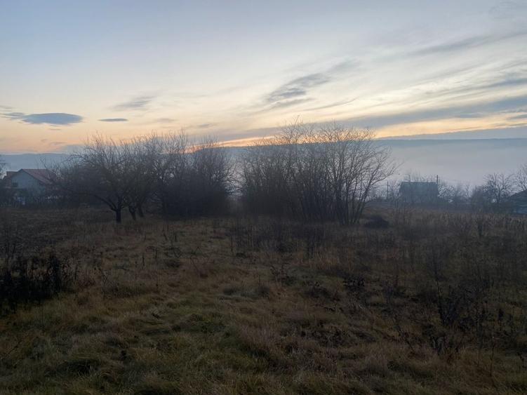 Teren de vanzare 5.370 mp - Dobrovat - 3