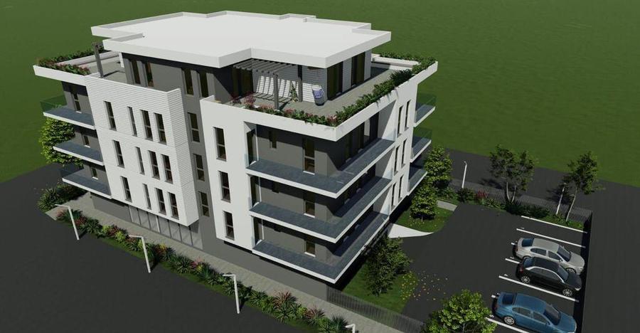 Apartament 3 camere Micalaca - 10