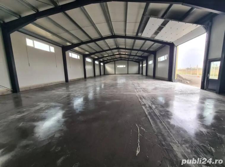 Hala industriala de inchiriat - Zona Aurel Vlaicu - 3