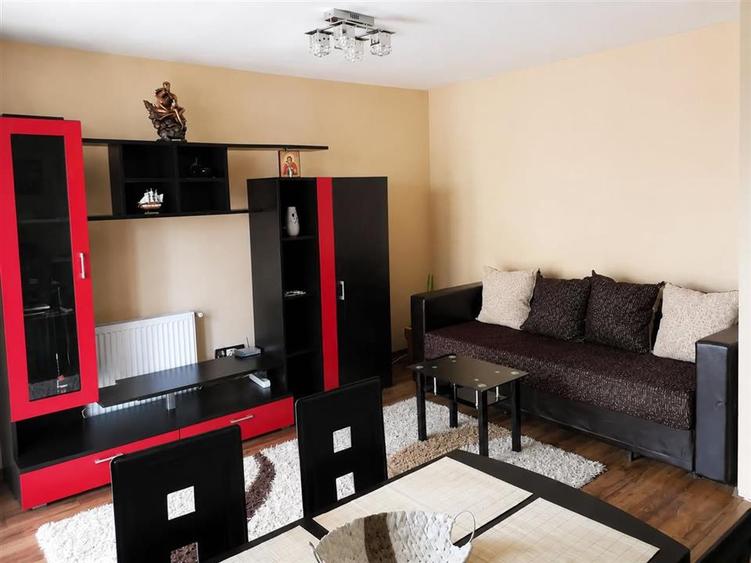 Apartament 2 camere zona Calea Poplacii - 3