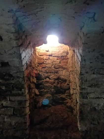 Conac apartinand lui Cicio POP, judet ARAD - 8