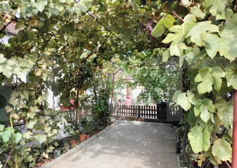 Vanzare Casa / Vila - 4