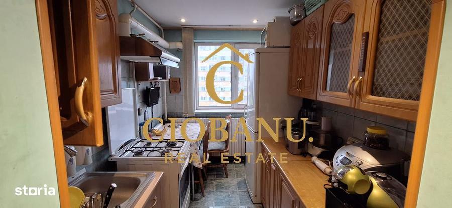 Apartament 3 camere de vanzare zona Gradina Botanica - 7