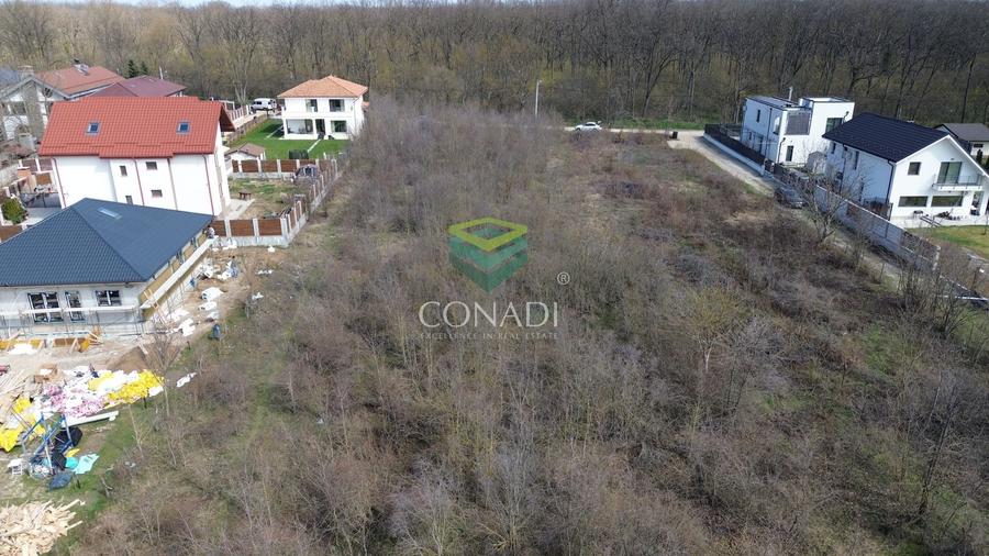 Teren || vis - a - vis de Padure - Balotesti || 2.000 mp - 1