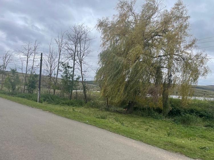 Teren intravilan 1.608 mp Martinesti lac in fata - 4