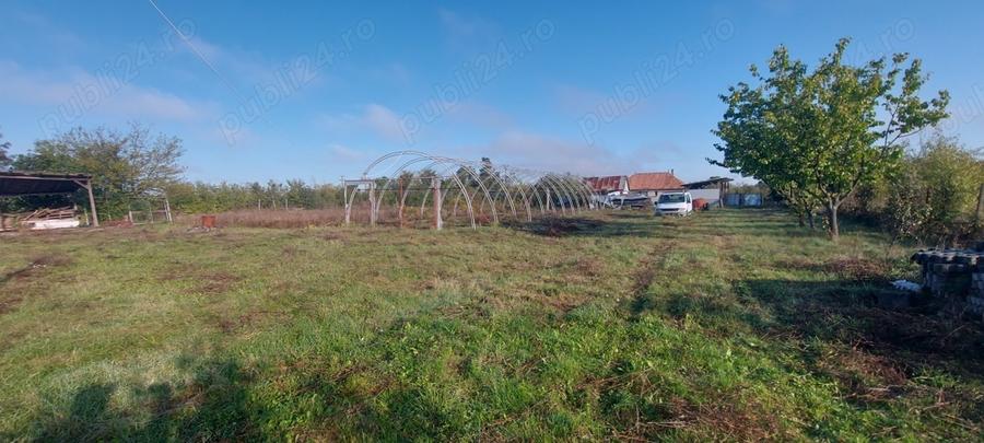 Casa + gospodarie la Silagiu Buzias - 3