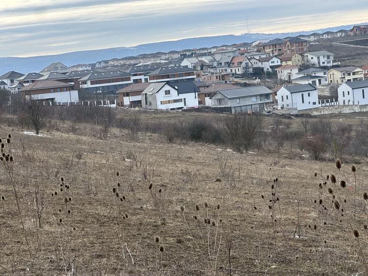 Persoana fizica vand teren intravilan Dezmir 9400 mp - 4